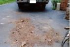 trail
