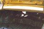 Left upper trunk